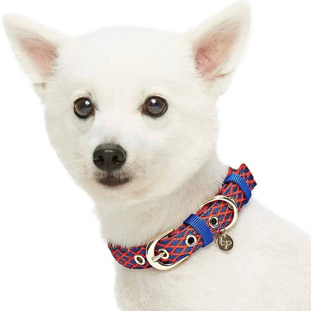 Diamond Pattern Padded Dog Collar