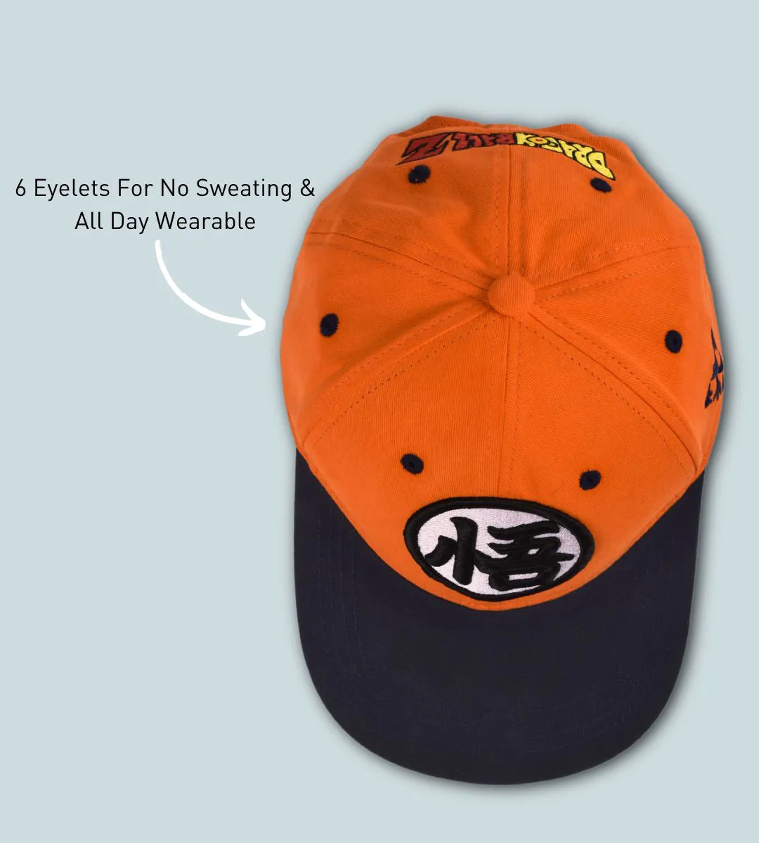 Dragon Ball Z Anime Cap