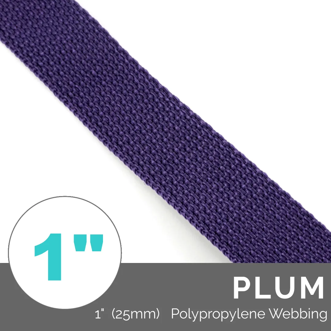 (Poly) Regular Strap Webbing 1" (25mm) Wide (Per 1 Yard)