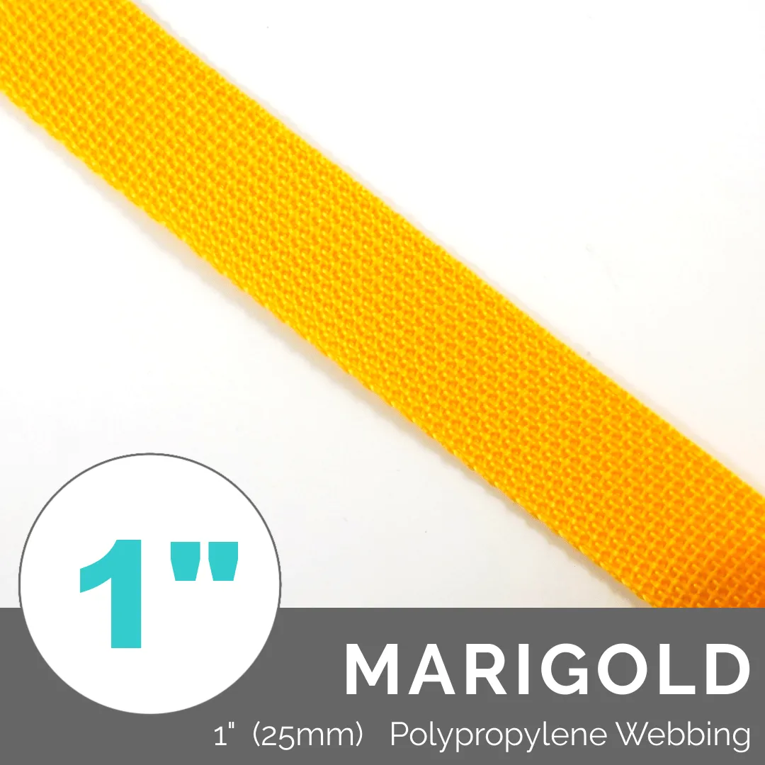 (Poly) Regular Strap Webbing 1" (25mm) Wide (Per 1 Yard)