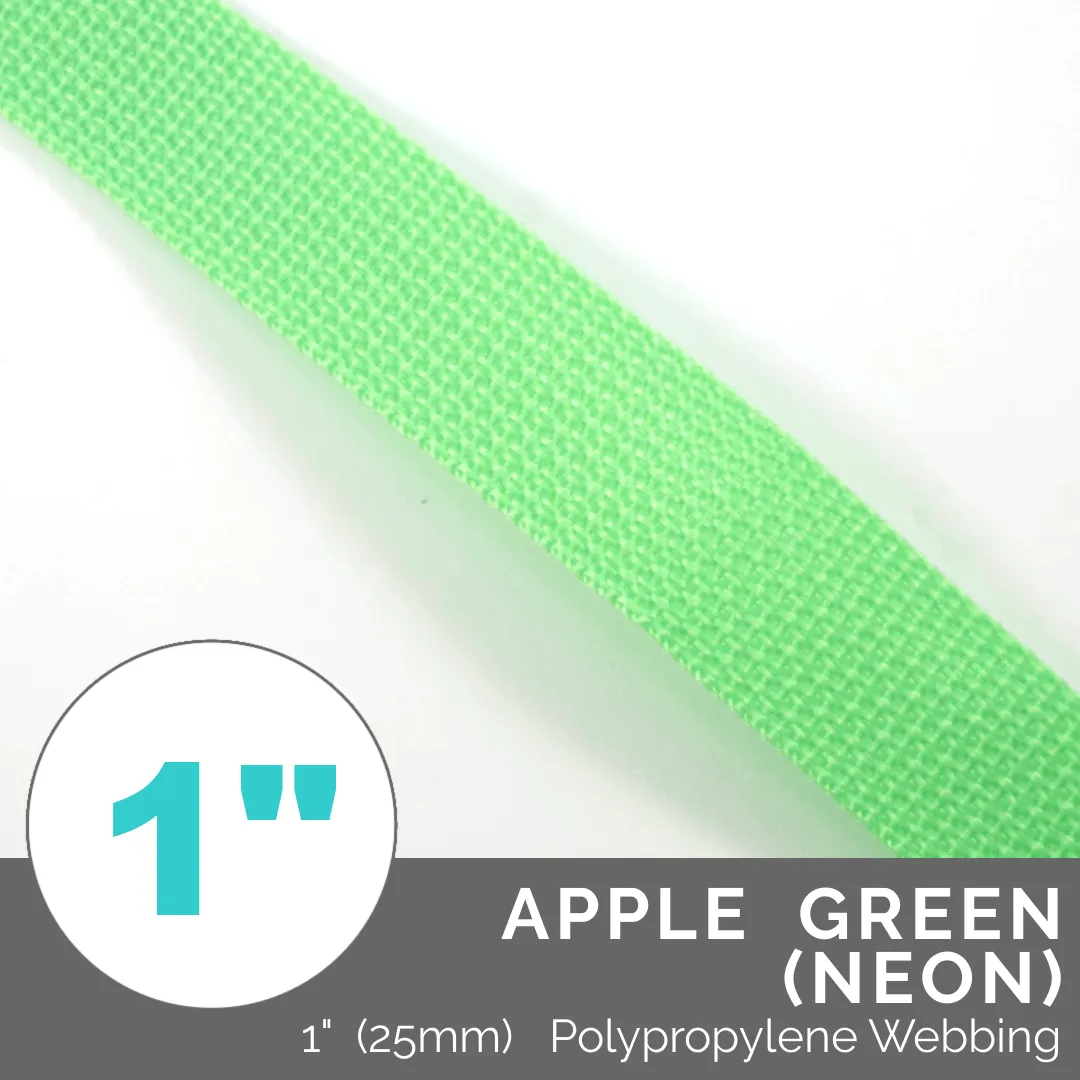 (Poly) Regular Strap Webbing 1" (25mm) Wide (Per 1 Yard)